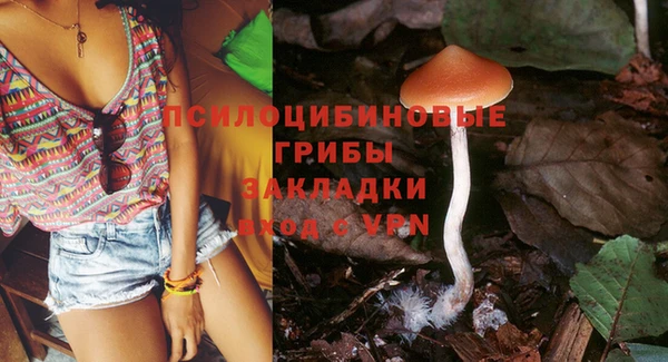 ГАЛЛЮЦИНОГЕННЫЕ ГРИБЫ Липки