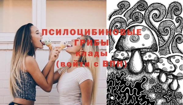 гидра Лиски