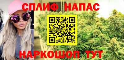 скорость Гагарин