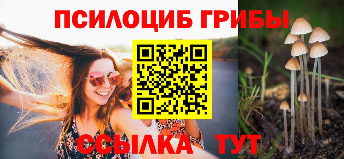 Псилоцибиновые грибы MAGIC MUSHROOMS Кимовск